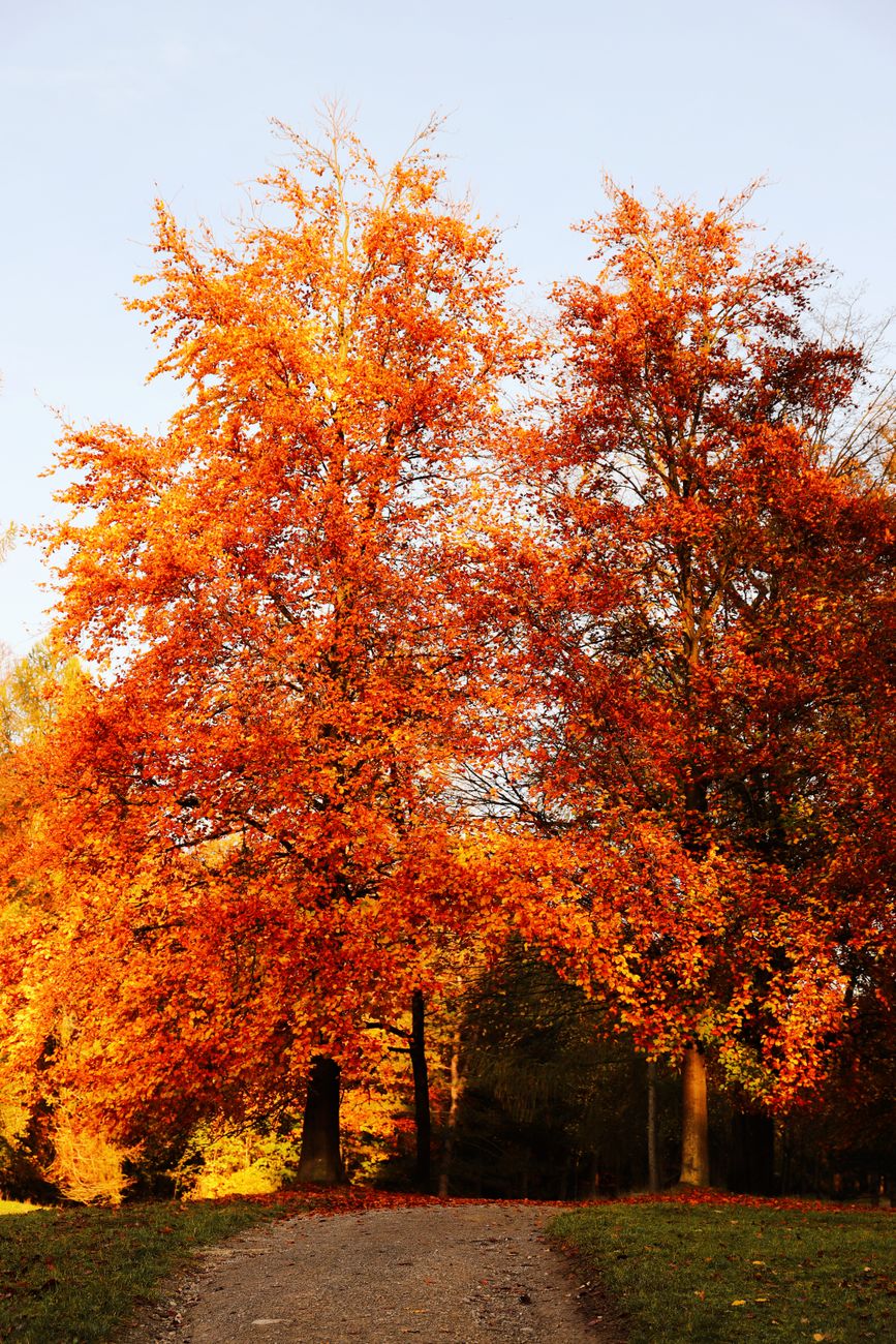 Setting Your Intention for the Autumn Reset